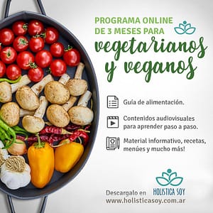 Holística Soy - programa para vegetarianos y veganos 1 1