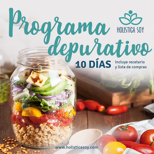 Holística Soy - programa depurativo 2 1
